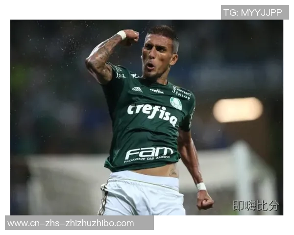 帕尔梅拉斯与阿瓦伊的精彩对决揭示巴西足球的激烈竞争与魅力